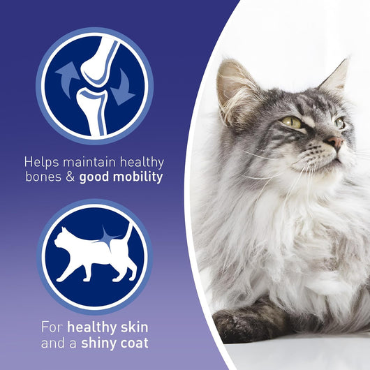 Purina One Adult Cat Food Mini Fillets in Gravy, 40 Pack (85g Pouches)