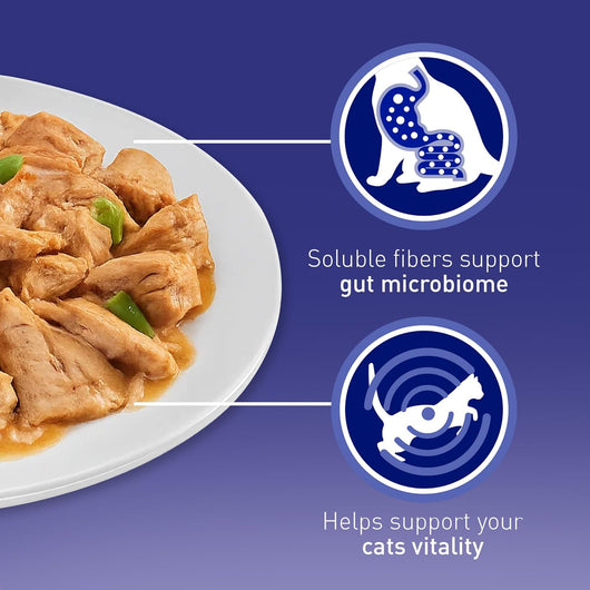 Purina One Adult Cat Food Mini Fillets in Gravy, 40 Pack (85g Pouches)