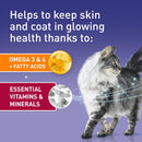 Purina One Adult Cat Food Mini Fillets in Gravy, 40 Pack (85g Pouches)