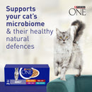 Purina One Adult Cat Food Mini Fillets in Gravy, 40 Pack (85g Pouches)